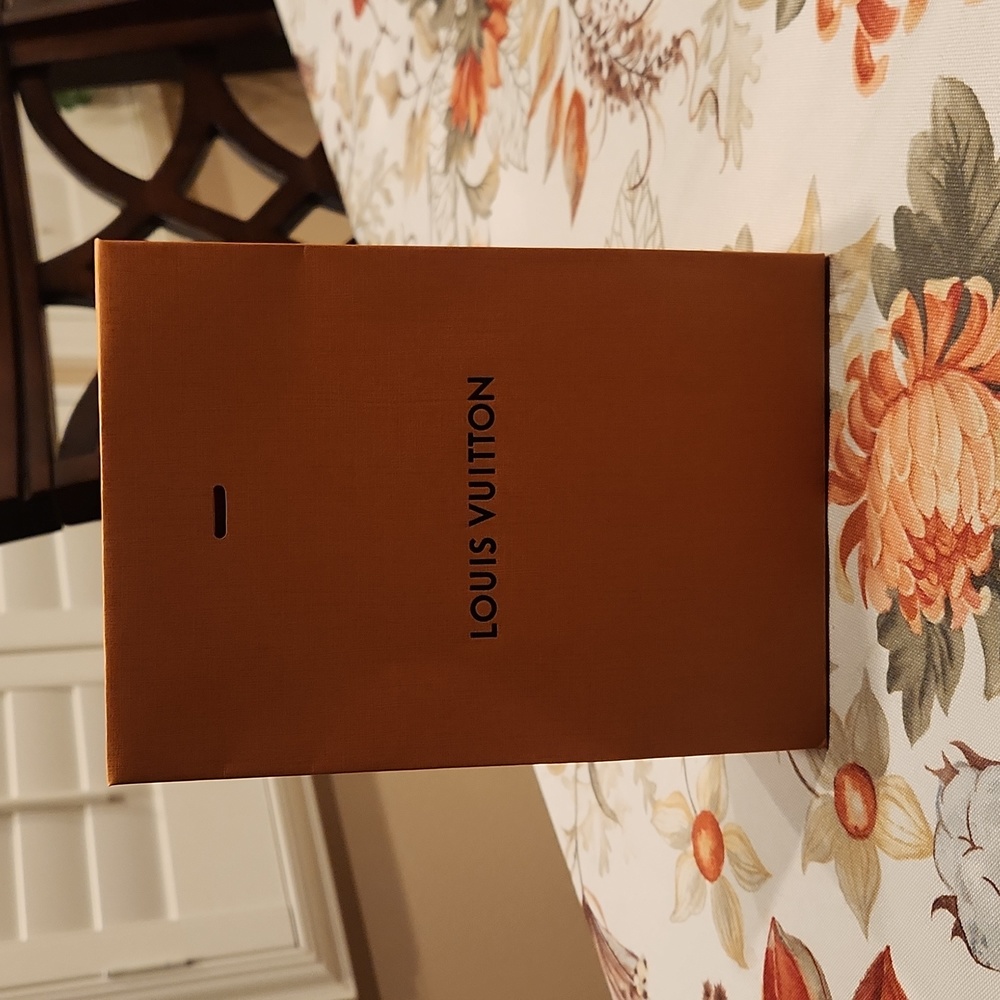 Louis Vuitton Bag